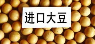 阿根廷調(diào)整出口稅 谷物及副產(chǎn)品關(guān)稅改革解讀
