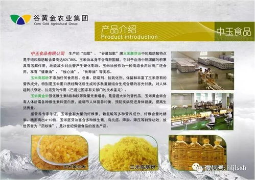 挖掘谷物金礦 谷黃金農(nóng)業(yè)集團(tuán)助力副產(chǎn)品供應(yīng)鏈升級(jí)